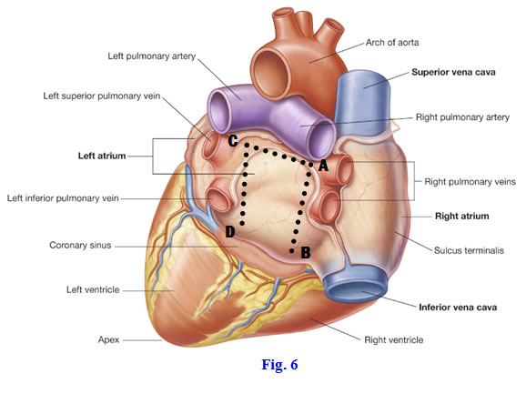 Fig 8-6